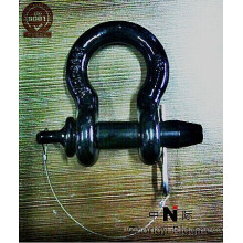 D-RING shackle are high quality electro-galvanized steel U.S TYPE